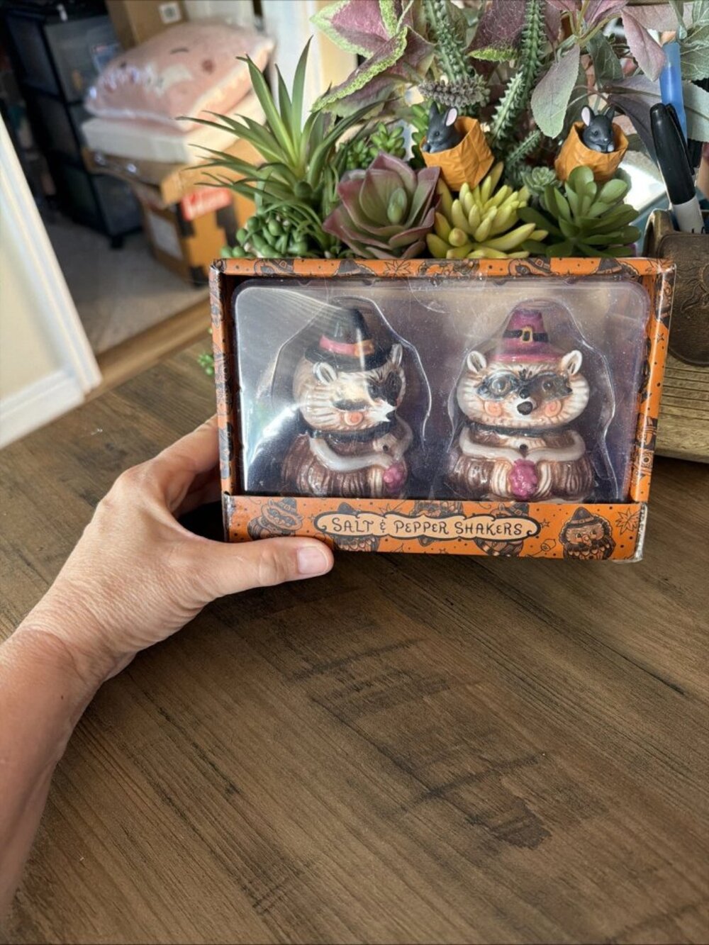 Johanna Parker Fall Raccoon Salt & Pepper Shakers - NEW